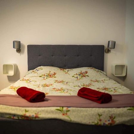 Apartament The Nest@Pinehouse Braszów Zewnętrze zdjęcie